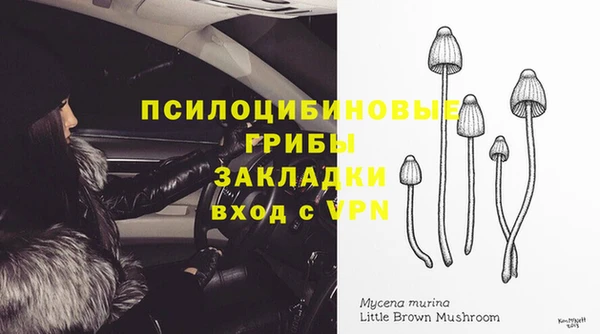 тгк Богородицк