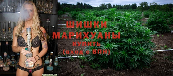 тгк Богородицк