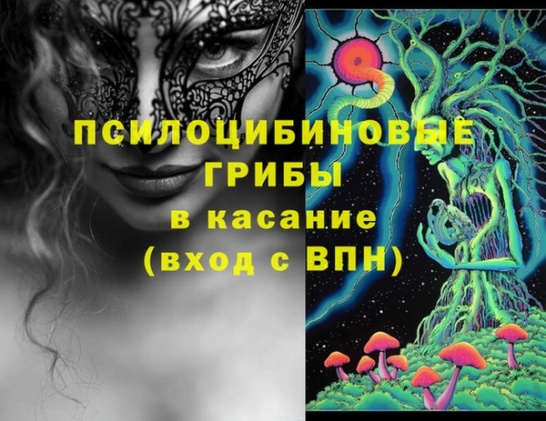 МДМА Богданович