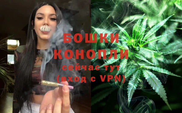 тгк Богородицк