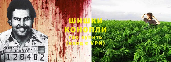 тгк Богородицк